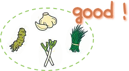 イラスト（体を温める食べ物）