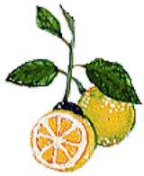 berugamotto（ハーブのイラスト）
