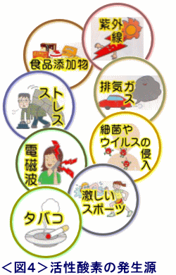 イラスト（活性酸素の発生源）