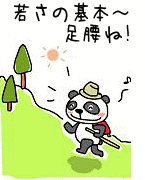 イラスト（よく歩くパンダ）