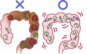 イラスト（腸内環境）