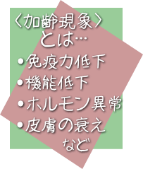 イラスト（加齢現象とは･･･）