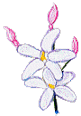 jyasumin（ハーブのイラスト）