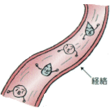 画像（経絡の流れが悪くなる原因２）