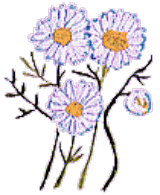 kamomiirurouman（ハーブのイラスト）