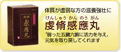 画像（虔脩感應丸）
