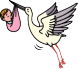 コウノトリ