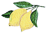 lemon（ハーブのイラスト）