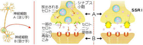 図（ＳＳＲＩの役割）