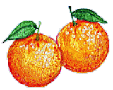 orenji（ハーブのイラスト）