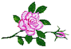 rozuotto(ハーブのイラスト)