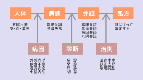 中医学の治療体系の図
