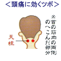 イラスト（頭痛に効くツボ